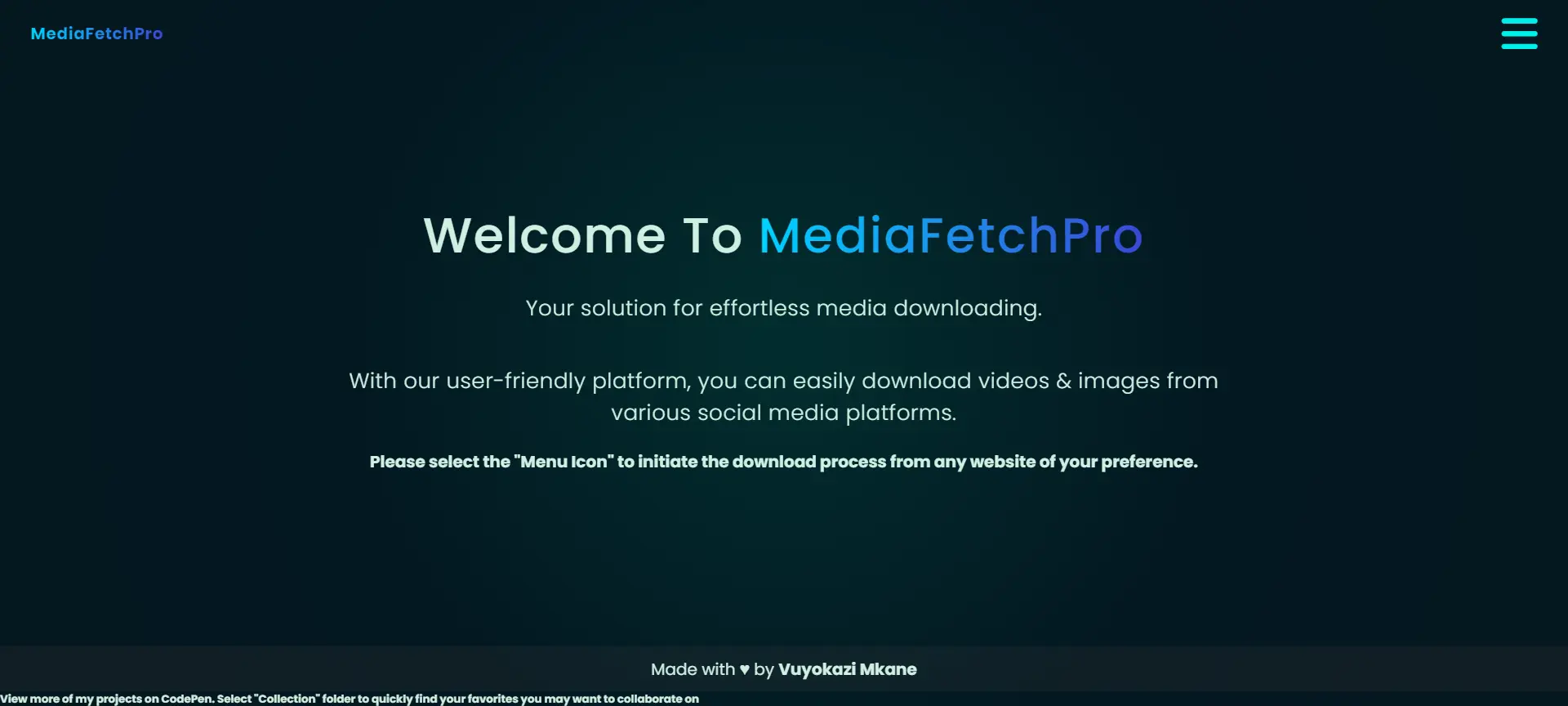 MediaFetchPro preview image